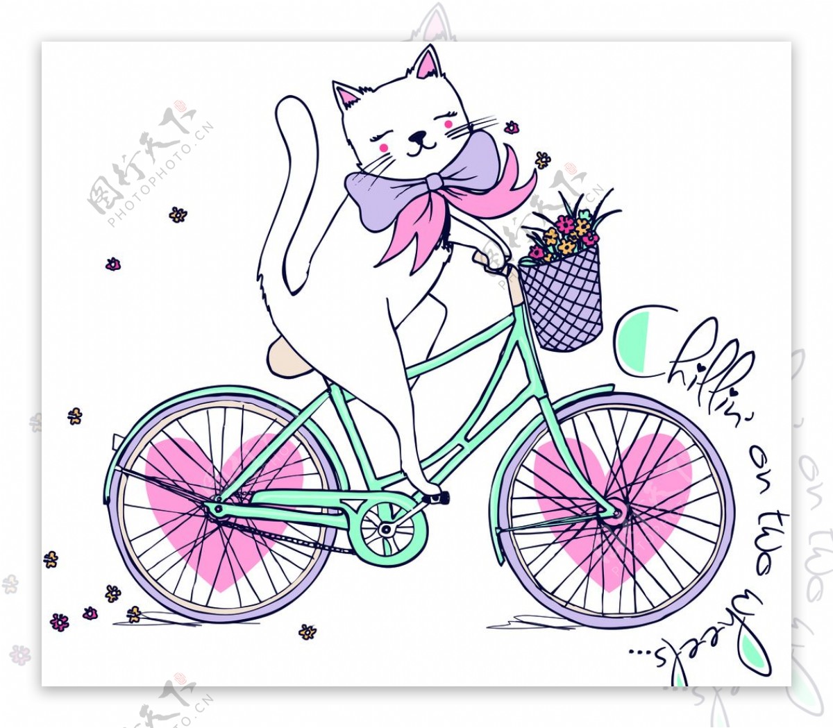 自行车猫