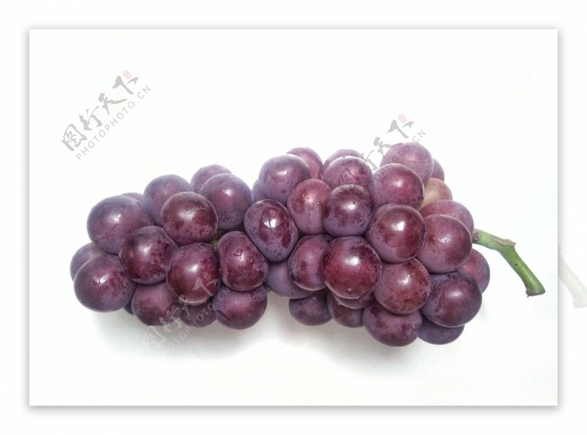 葡萄串提子夏季水果紫色