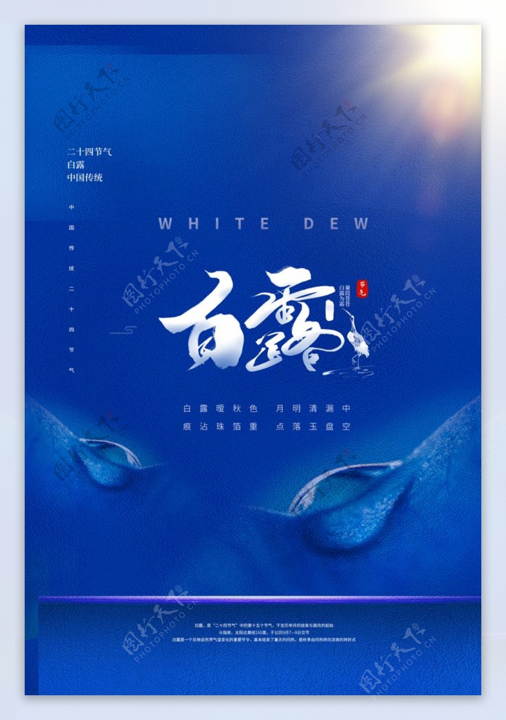 白露传统节日活动促销宣传海报