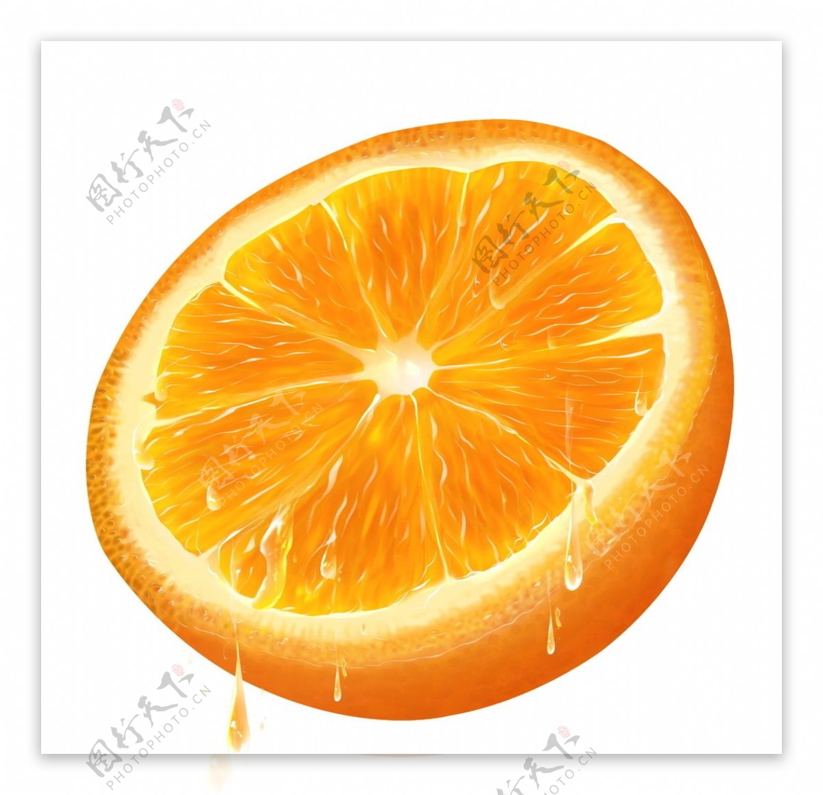 切片橙子