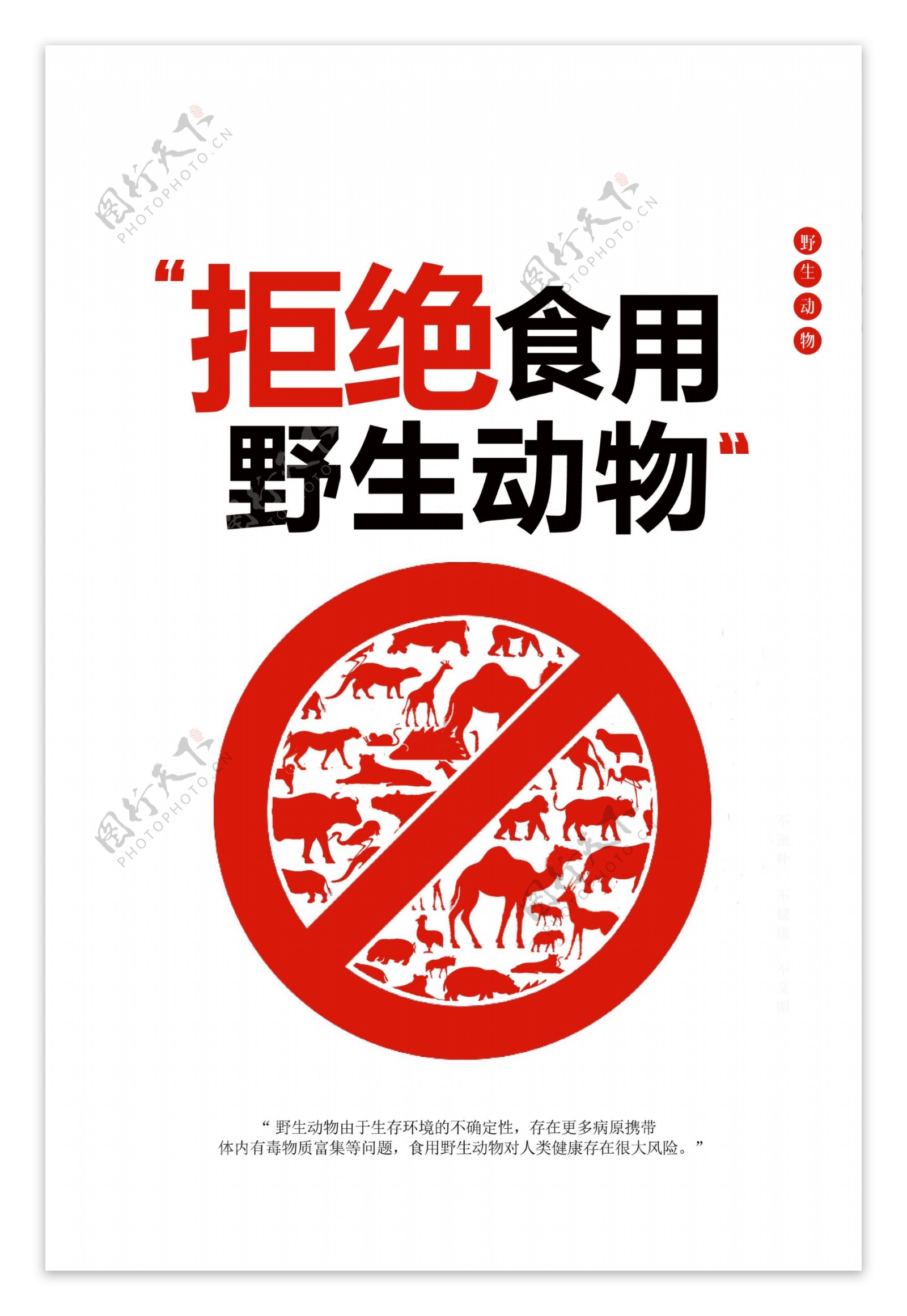 拒绝食用野生动物公益宣传海报