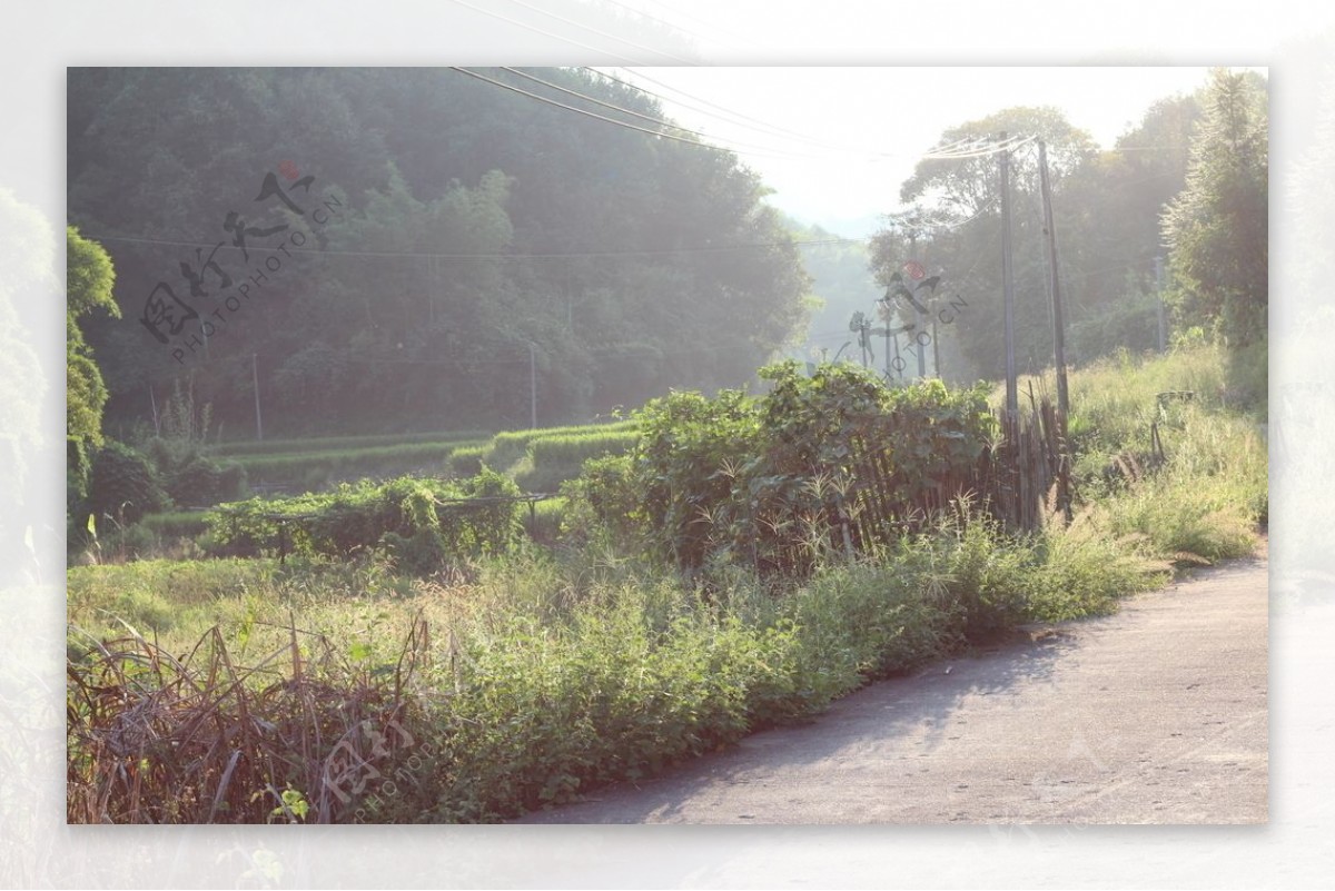 乡村道路