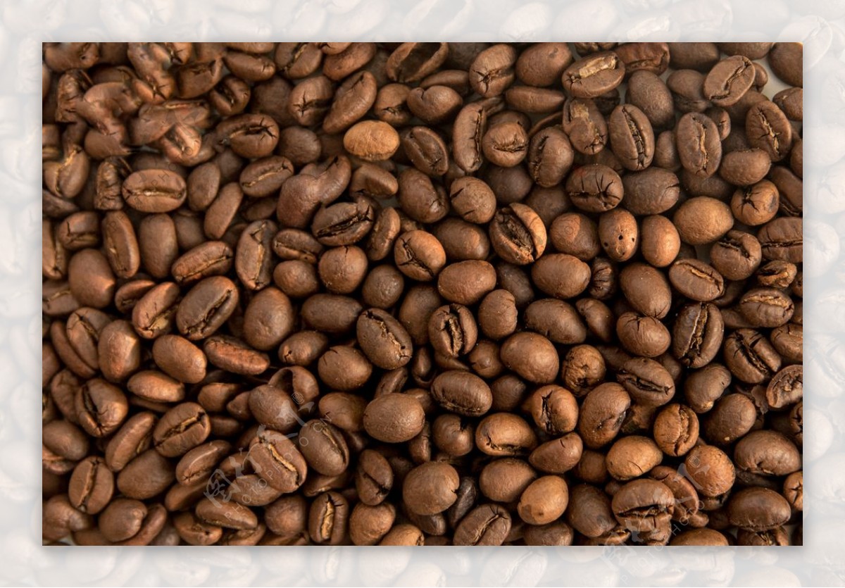 满屏咖啡豆