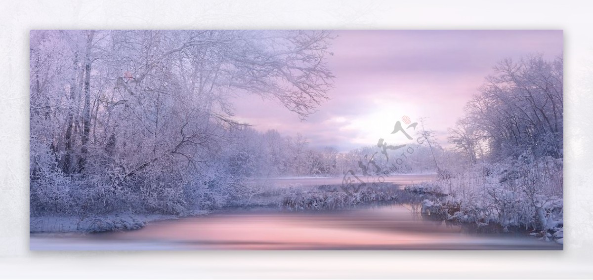 冬日的清晨湖面撒满紫色的光树木