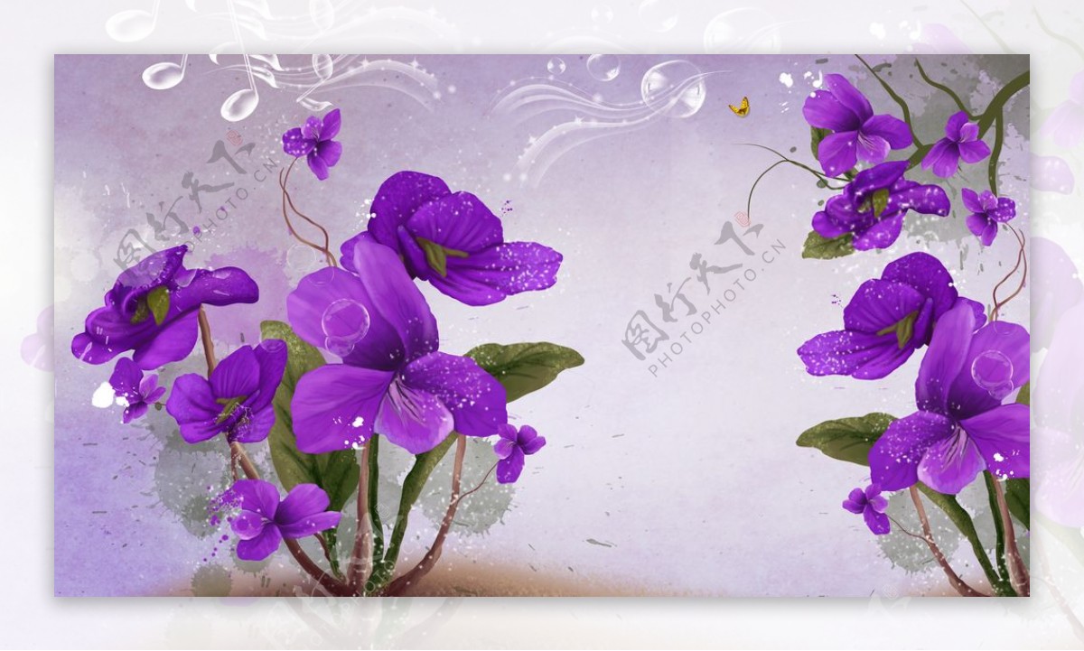 兰花风信子花紫色花朵
