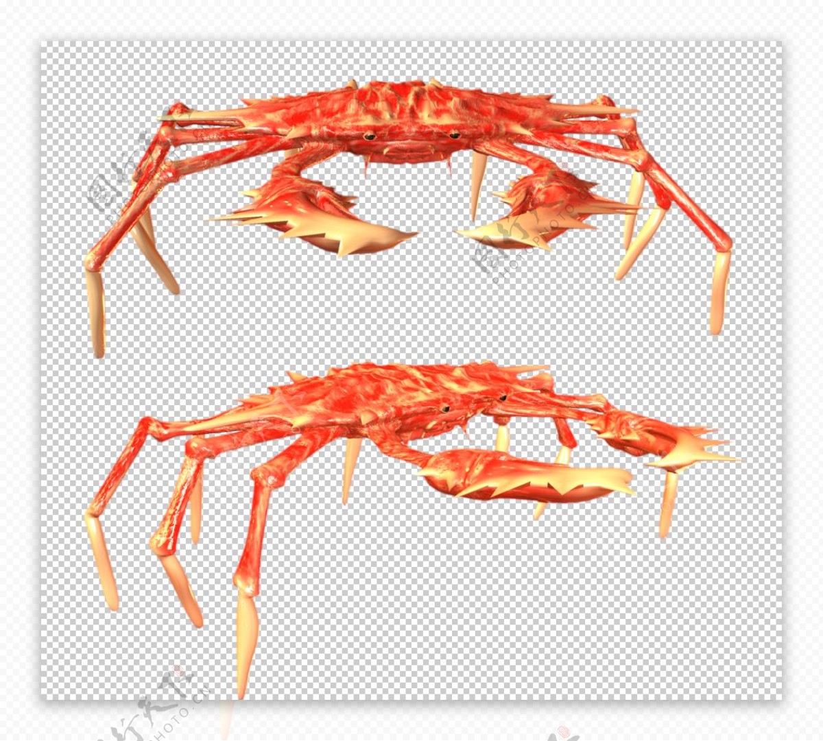 海鲜螃蟹图案