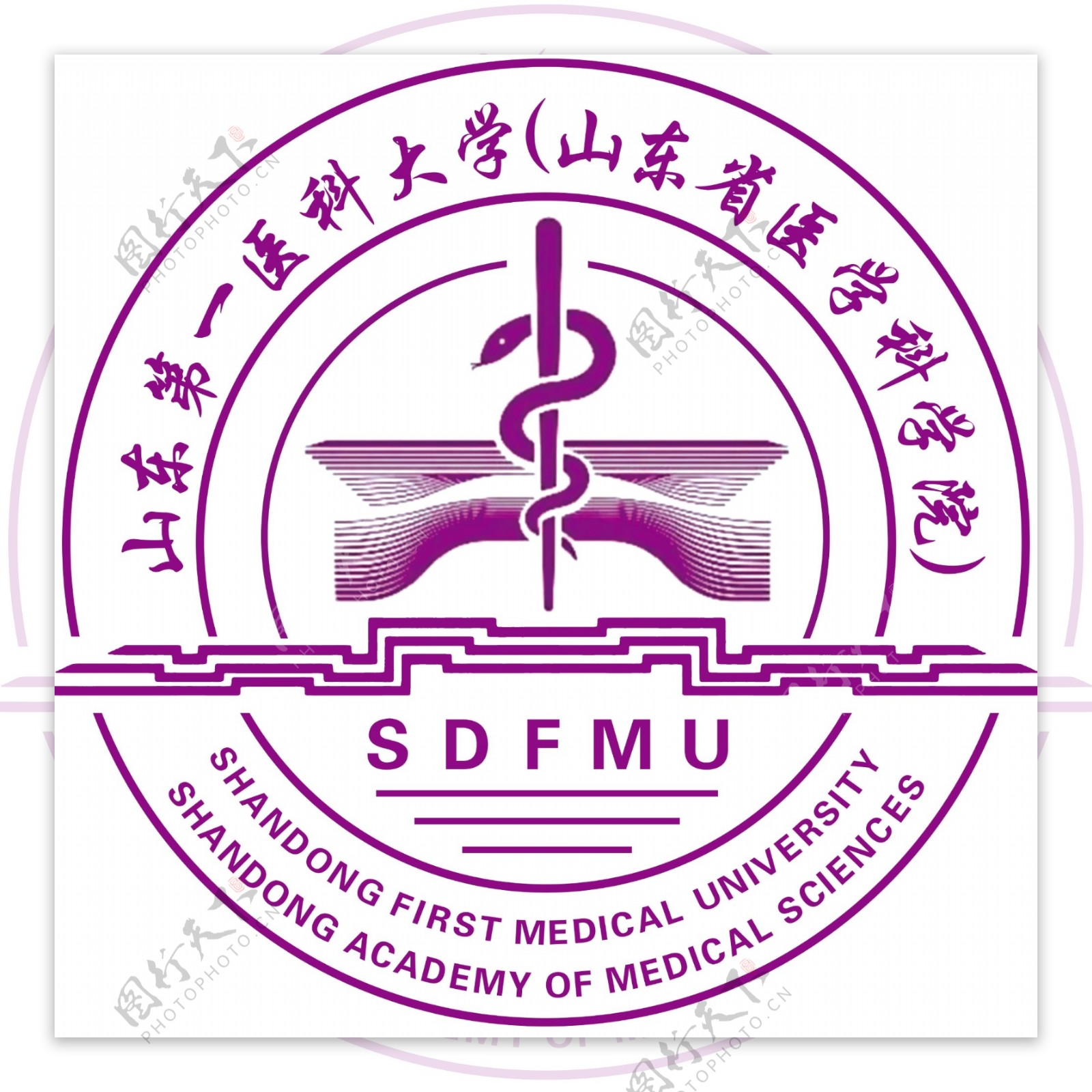 山东第一医科大学logo