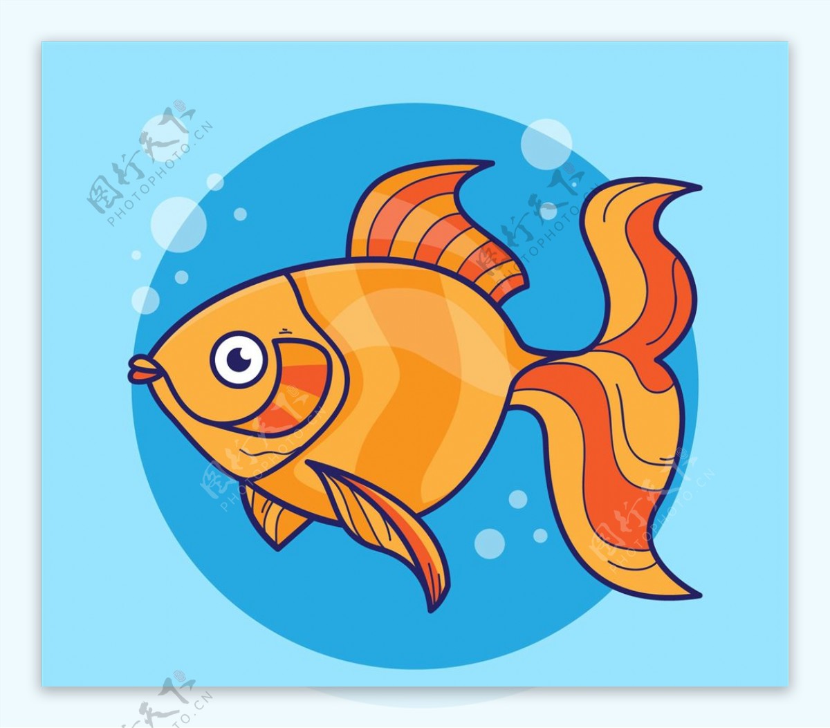 橙色鱼
