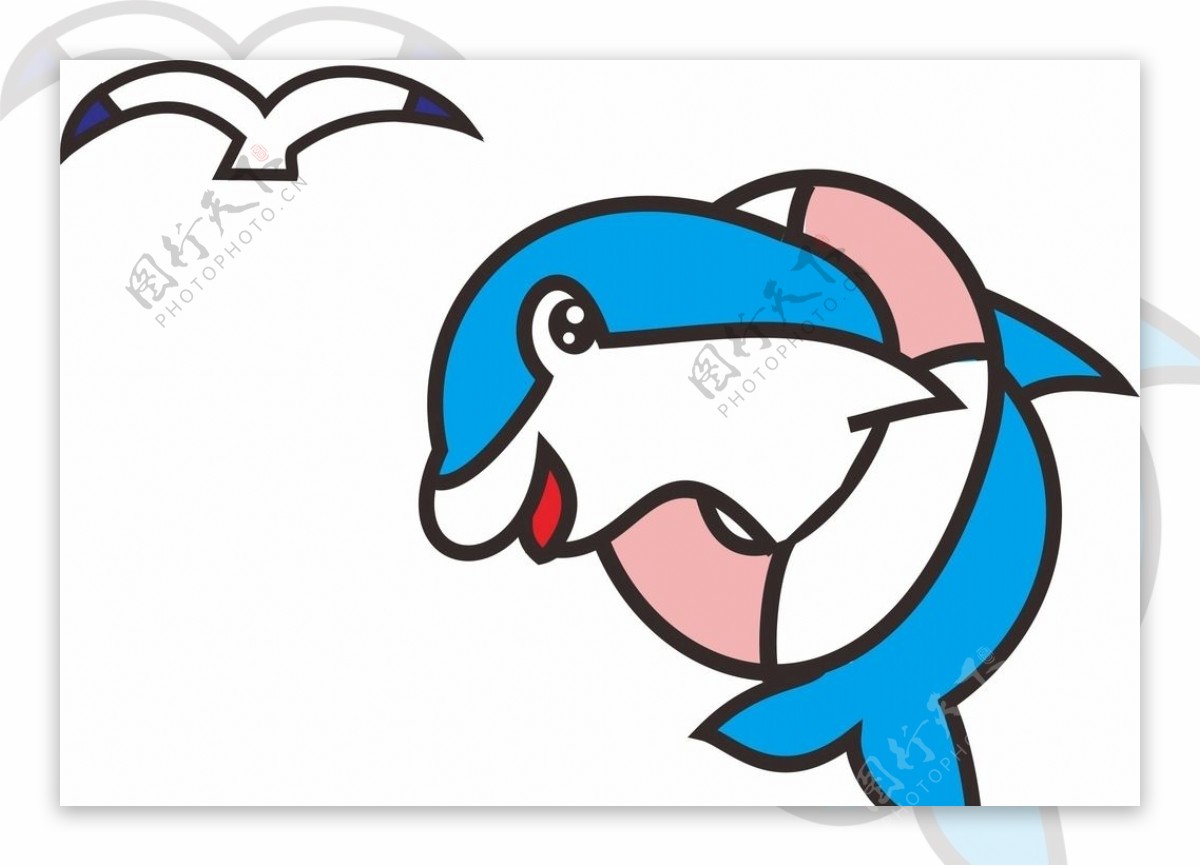 海豚和海鸥图片