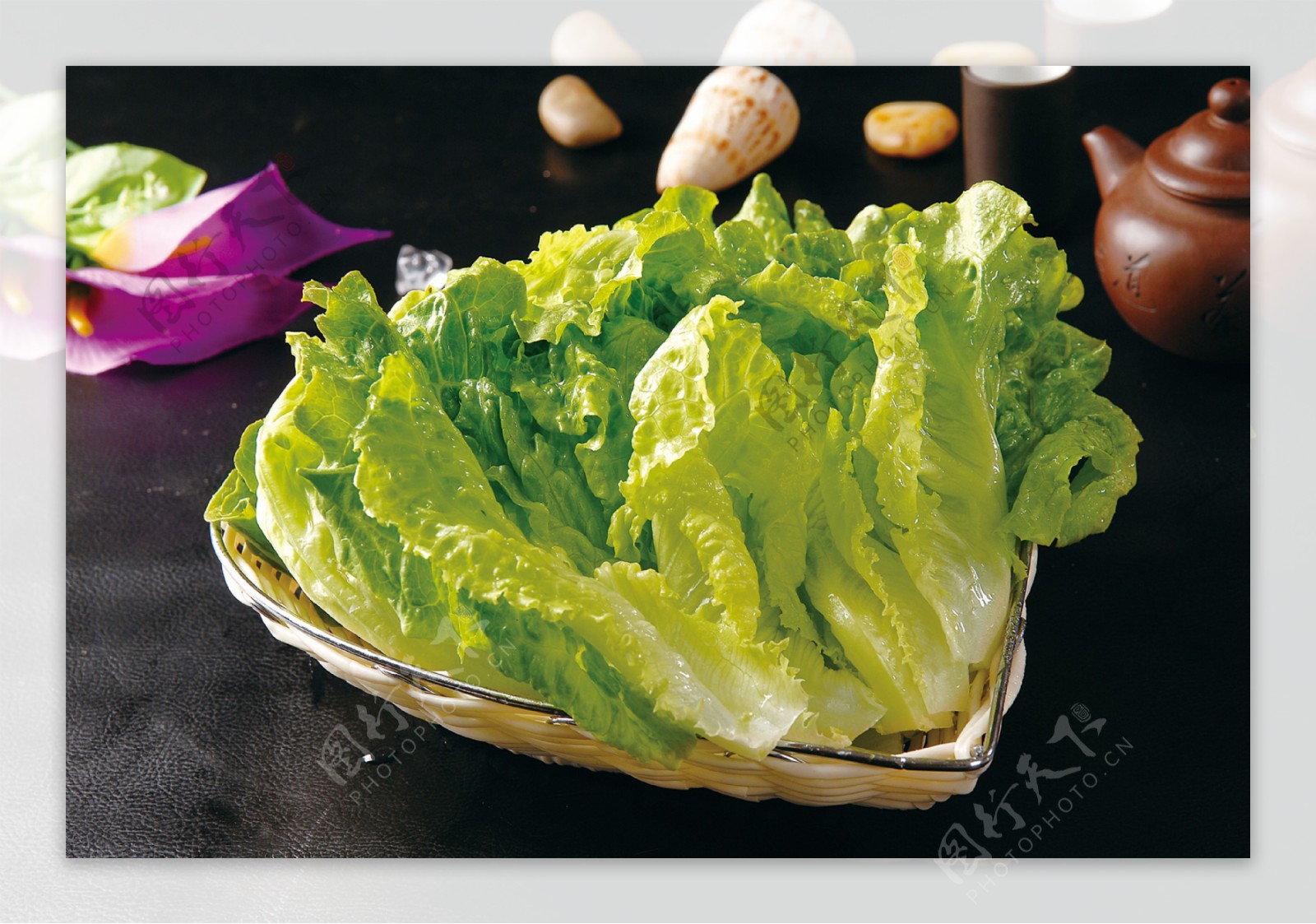 正在生长的蔬菜上海青高清图片下载-正版图片501191625-摄图网