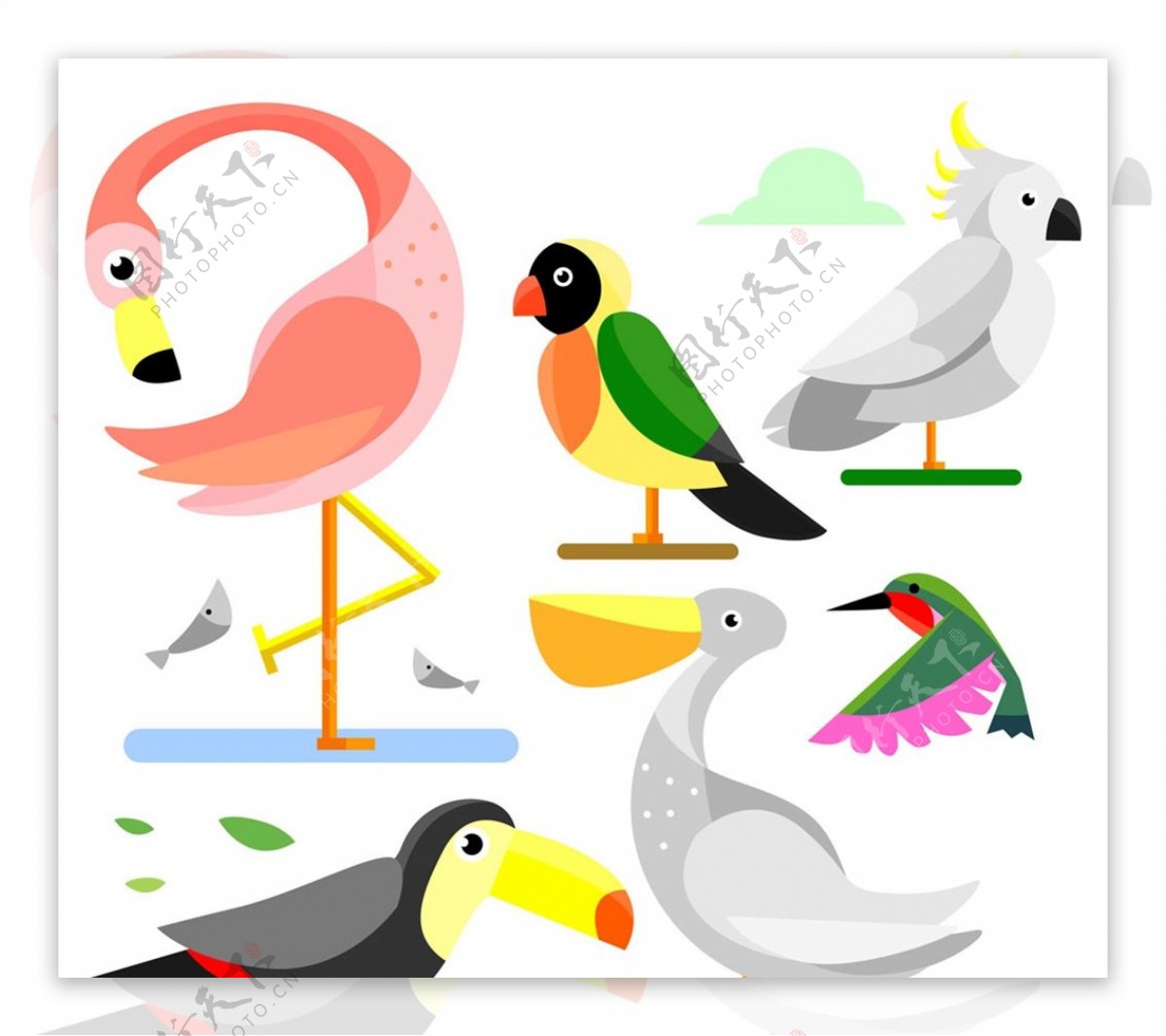 创意鸟类设计图片