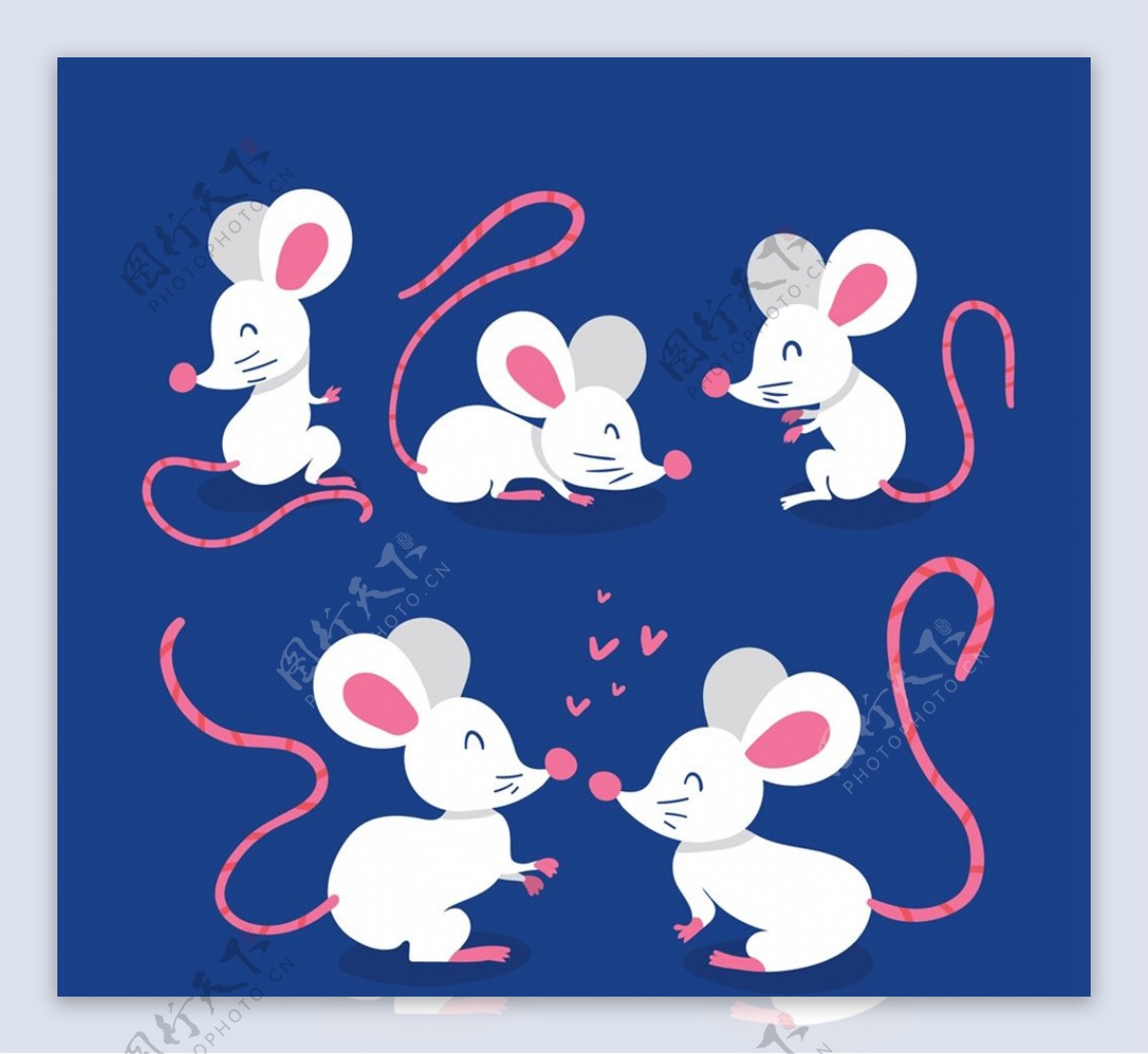 白色老鼠设计图片