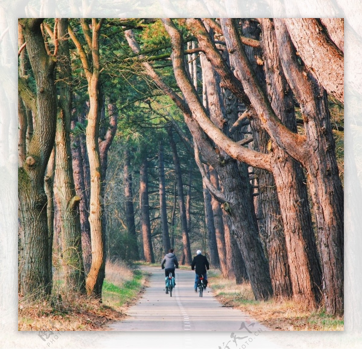 秋日公园散步运动图片