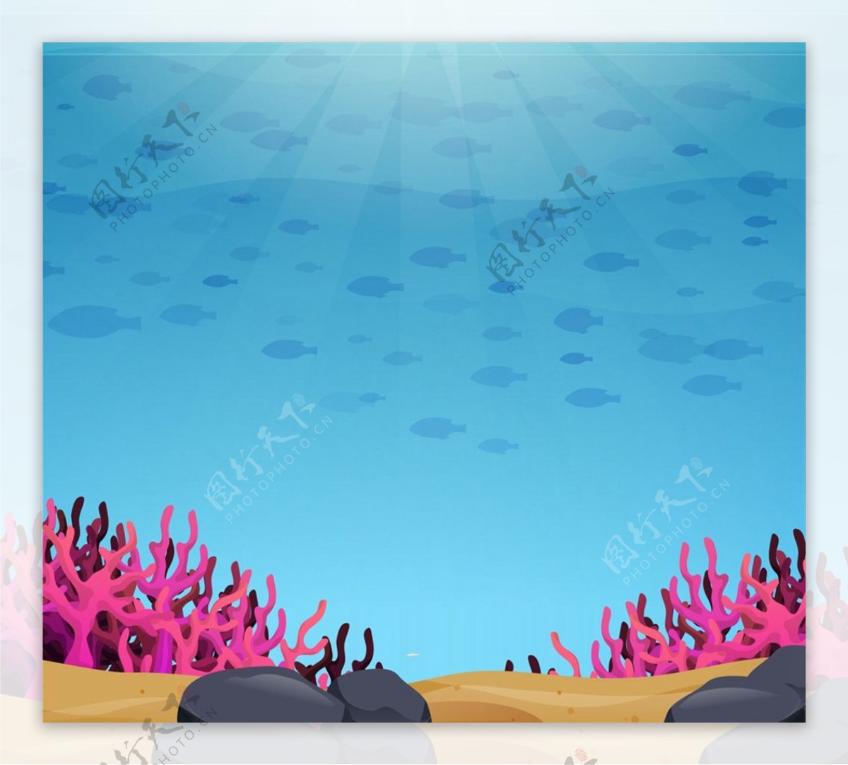 海底珊瑚和鱼群图片