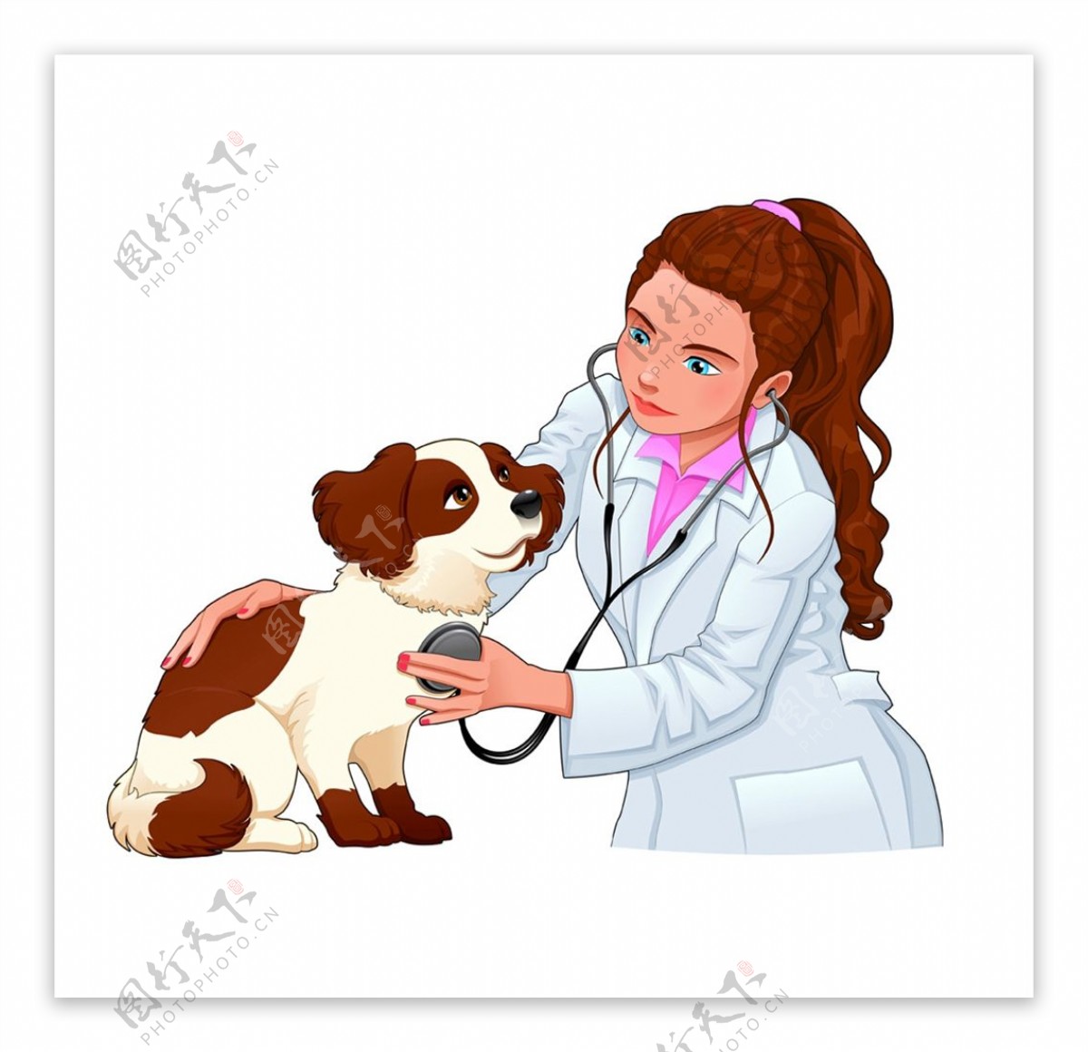 女兽医和宠物狗图片