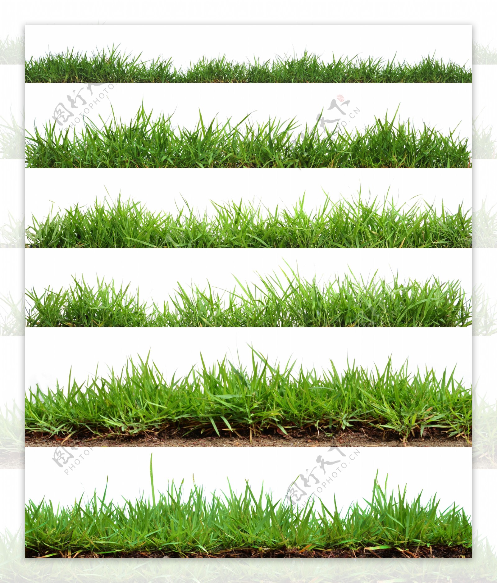草坪草地绿色背景海报素材图片