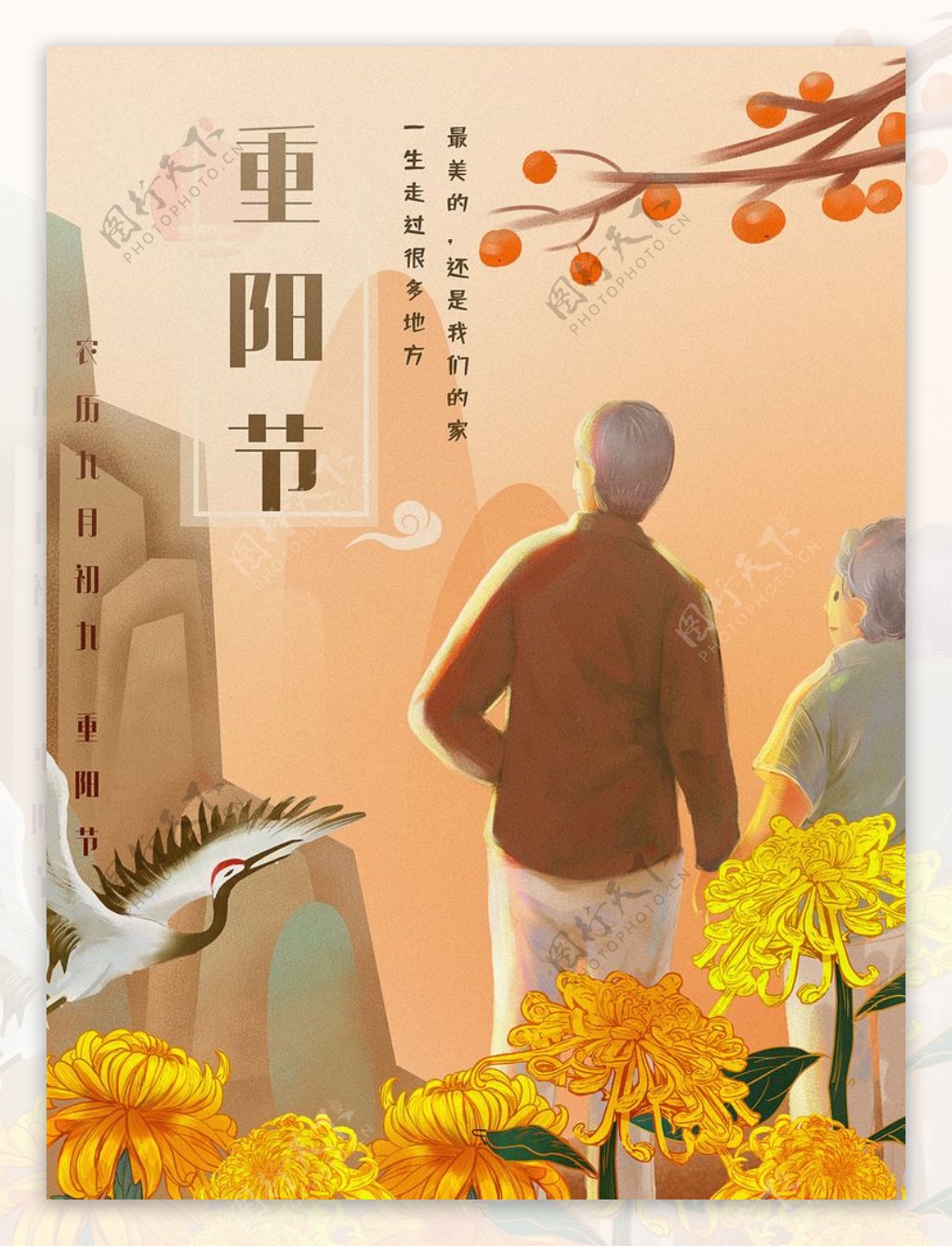 重阳节仙鹤菊花插画图片
