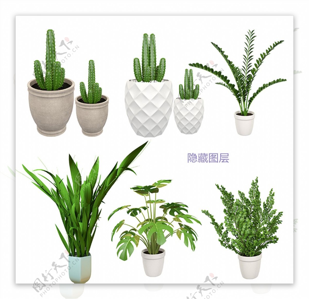 3D植物盆栽图片
