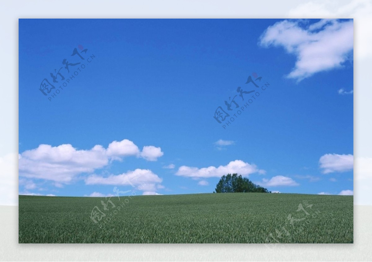 天空草原图片