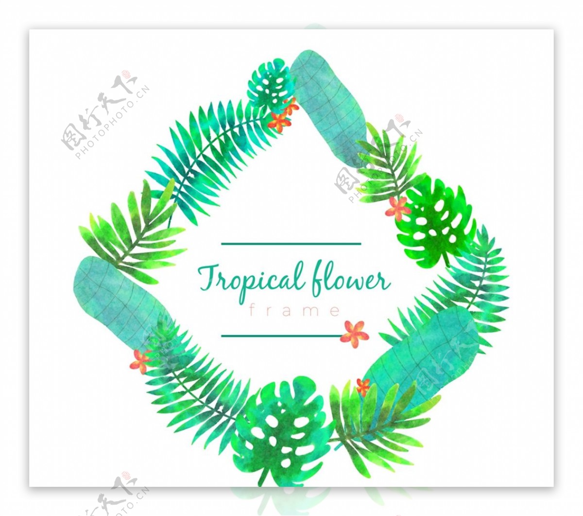 热带树叶菱形框架图片