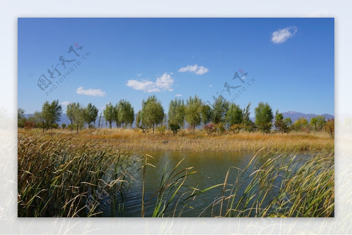 野鸭湖秋景图片