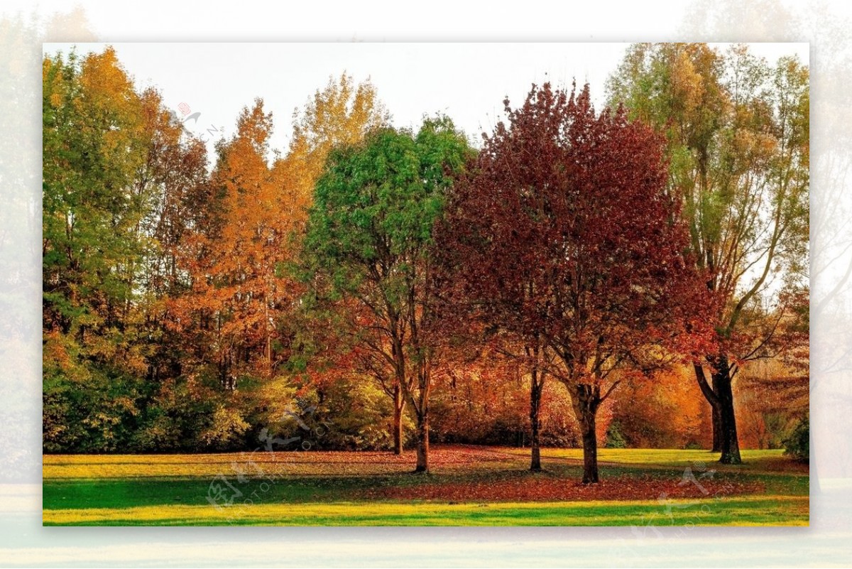 秋季自然景观图片