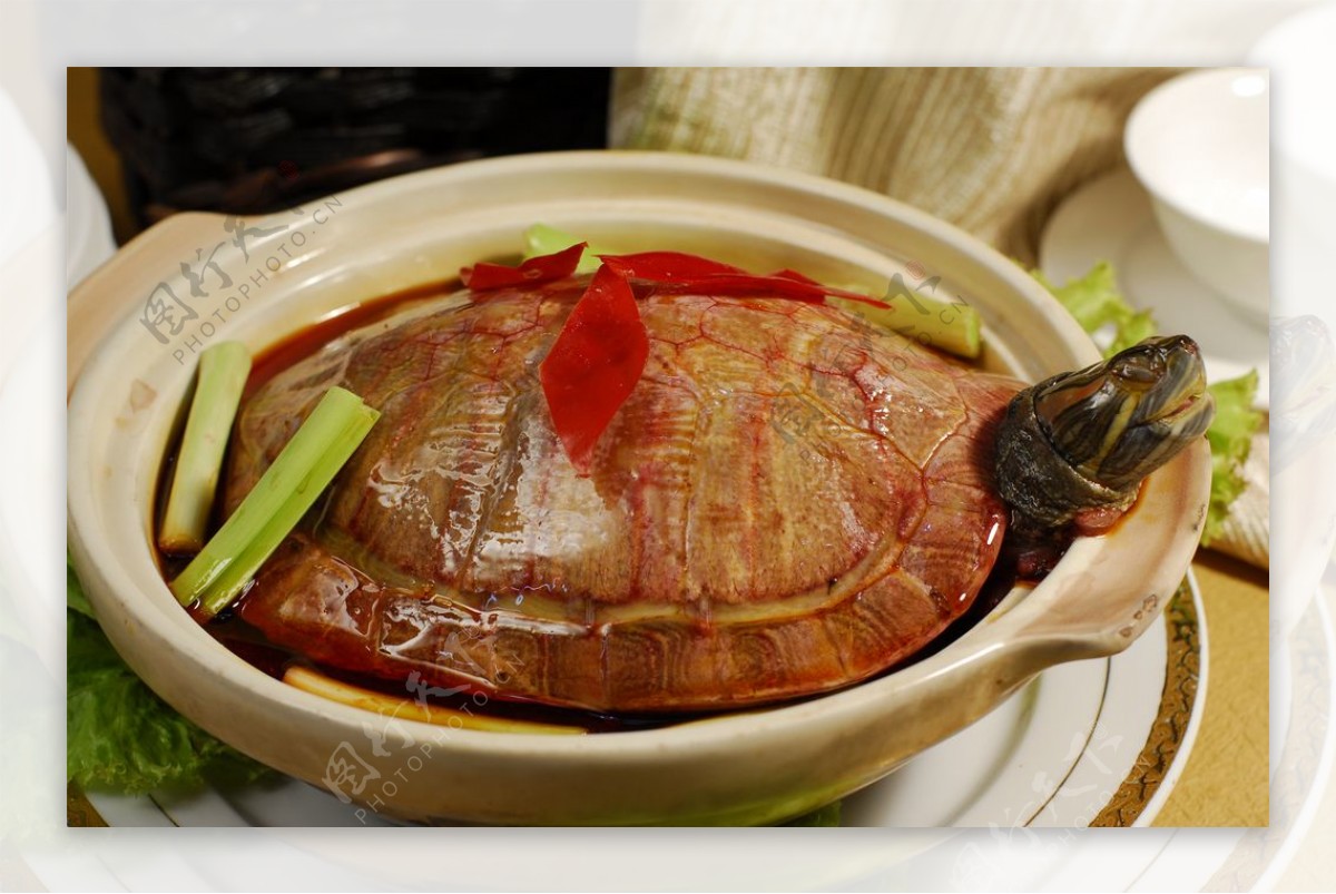 红煨巴西龟图片