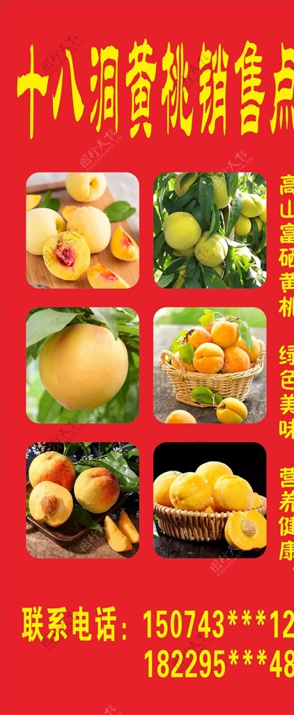 黄桃图片