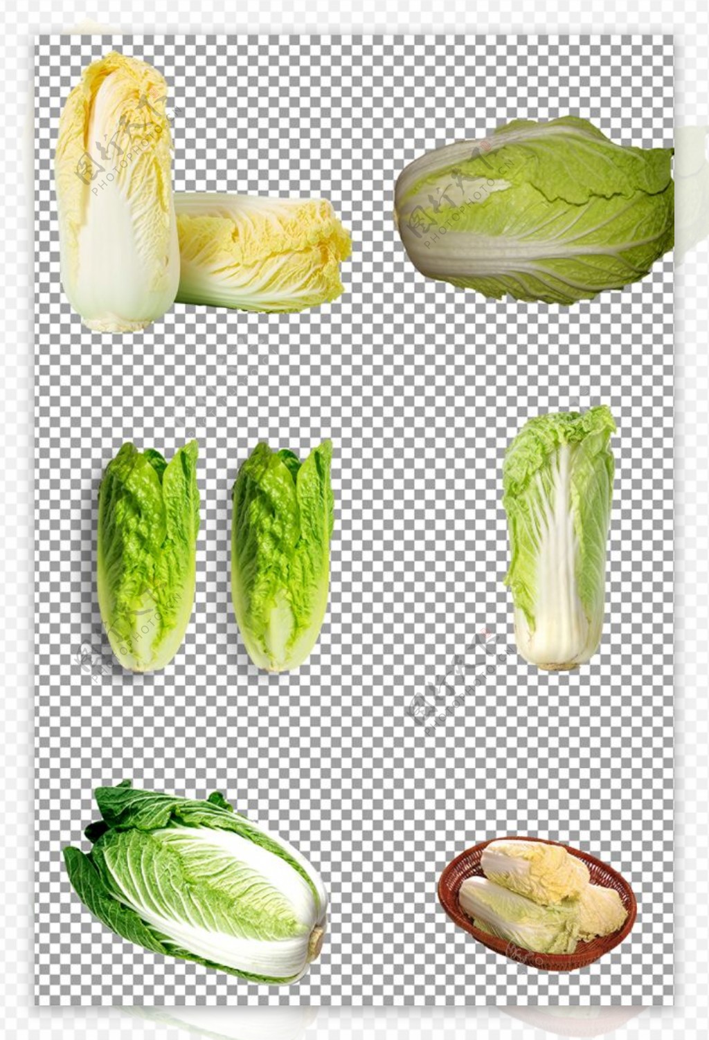 绿色的白菜图片