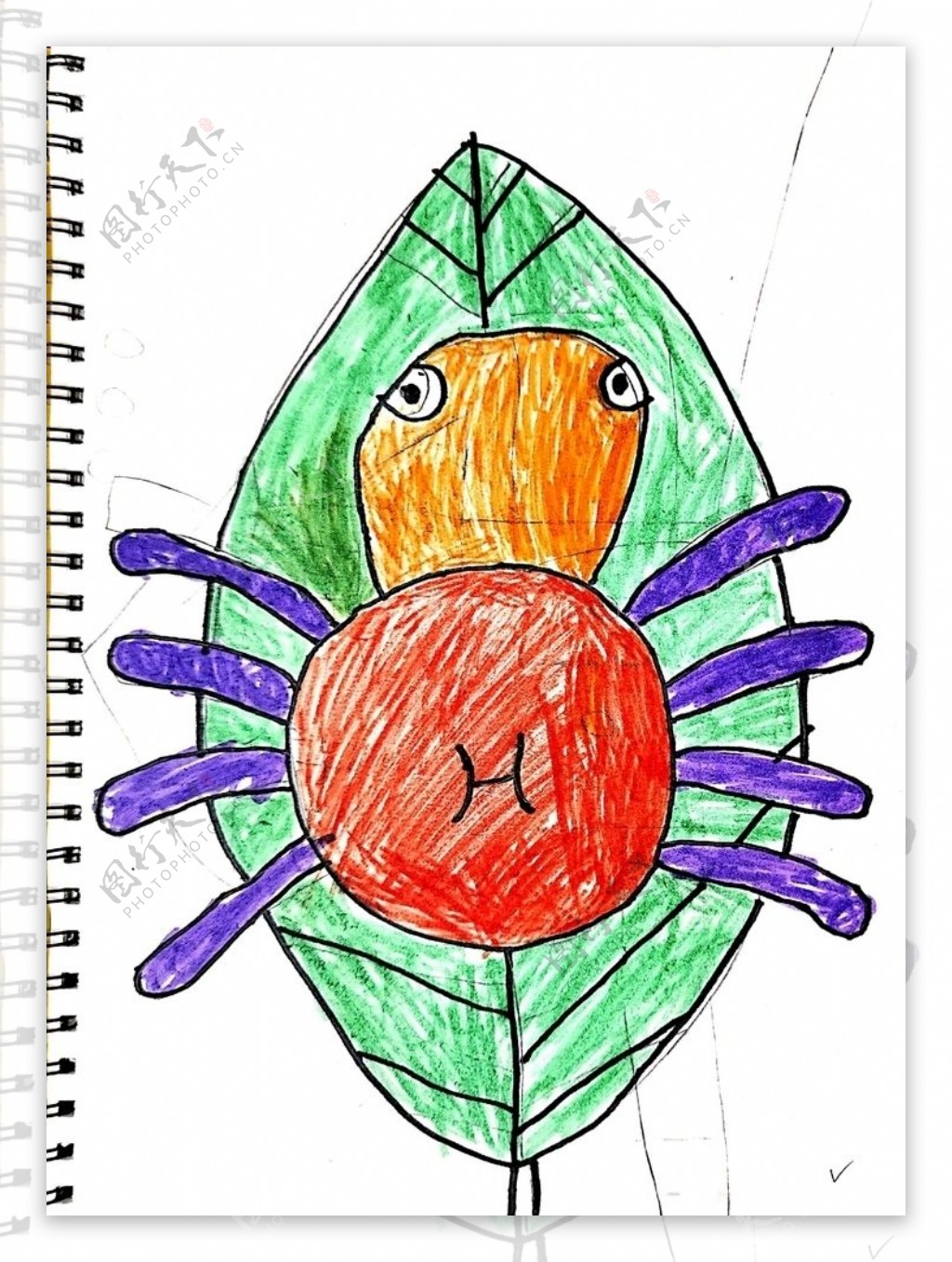 儿童简笔画子航之可爱蜘蛛简笔画图片