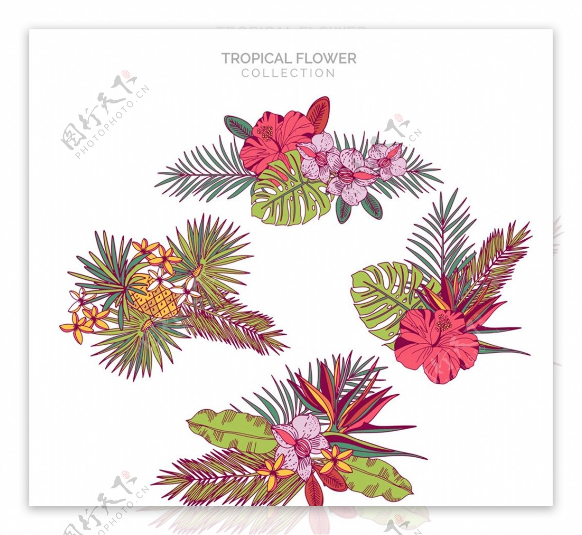 手绘热带花束图片