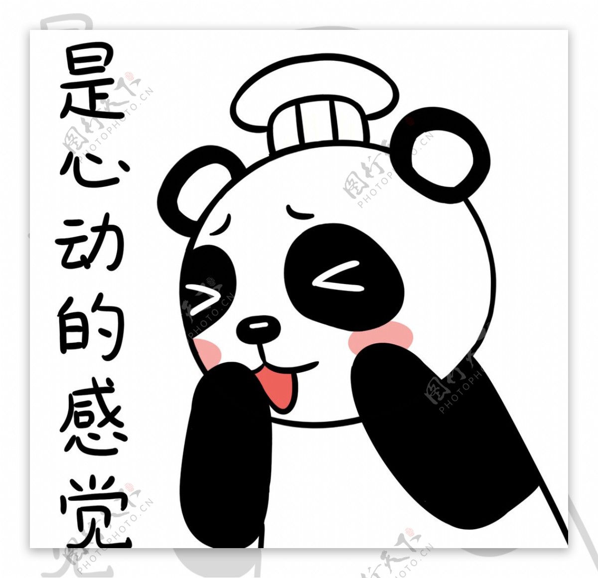 熊猫源源图片