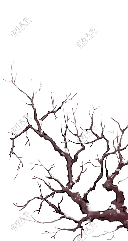 手绘冬季树枝png素材图片