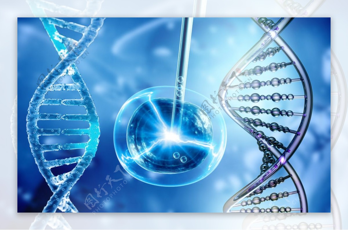 细胞基因DNA图片