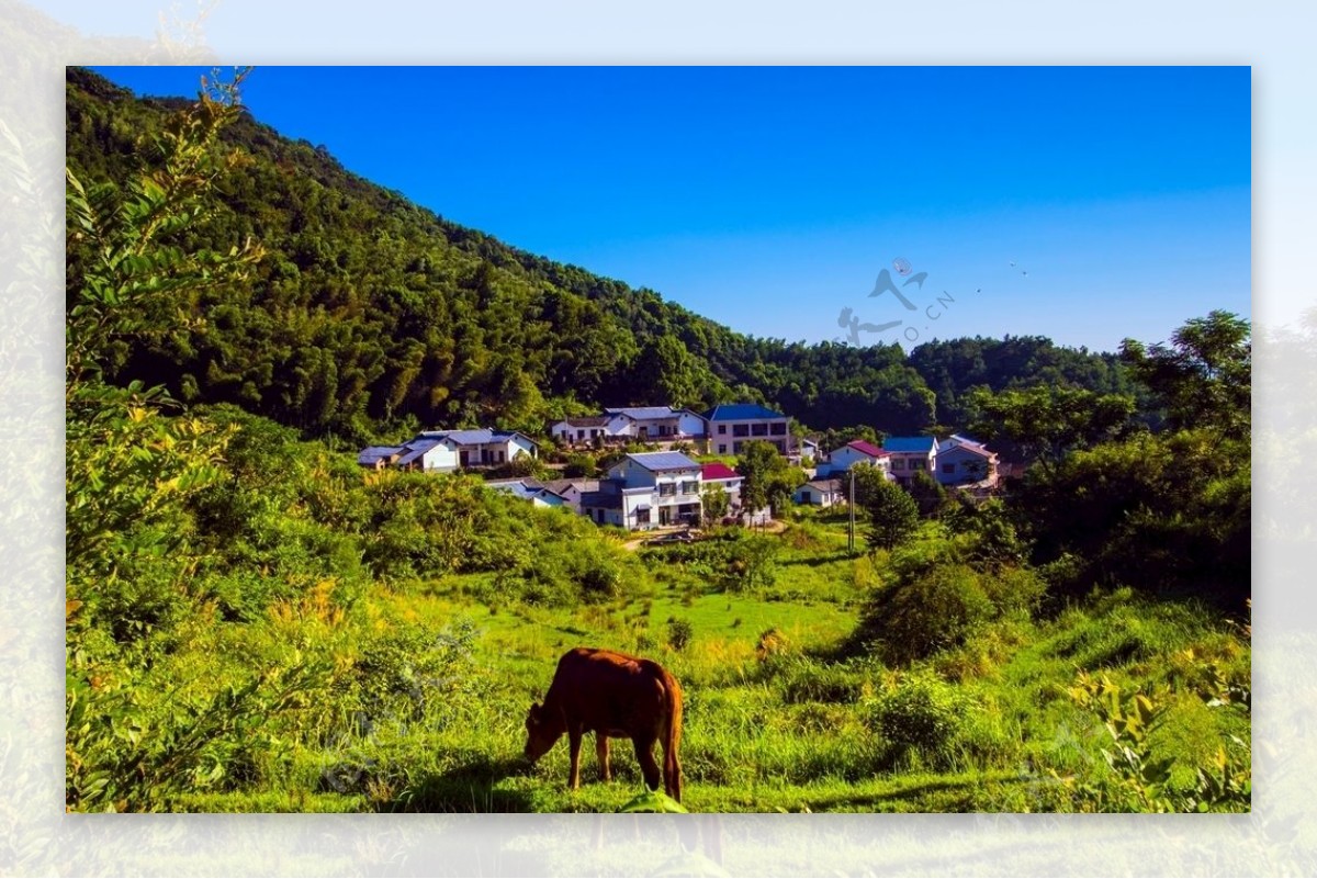 影珠山原风景图片