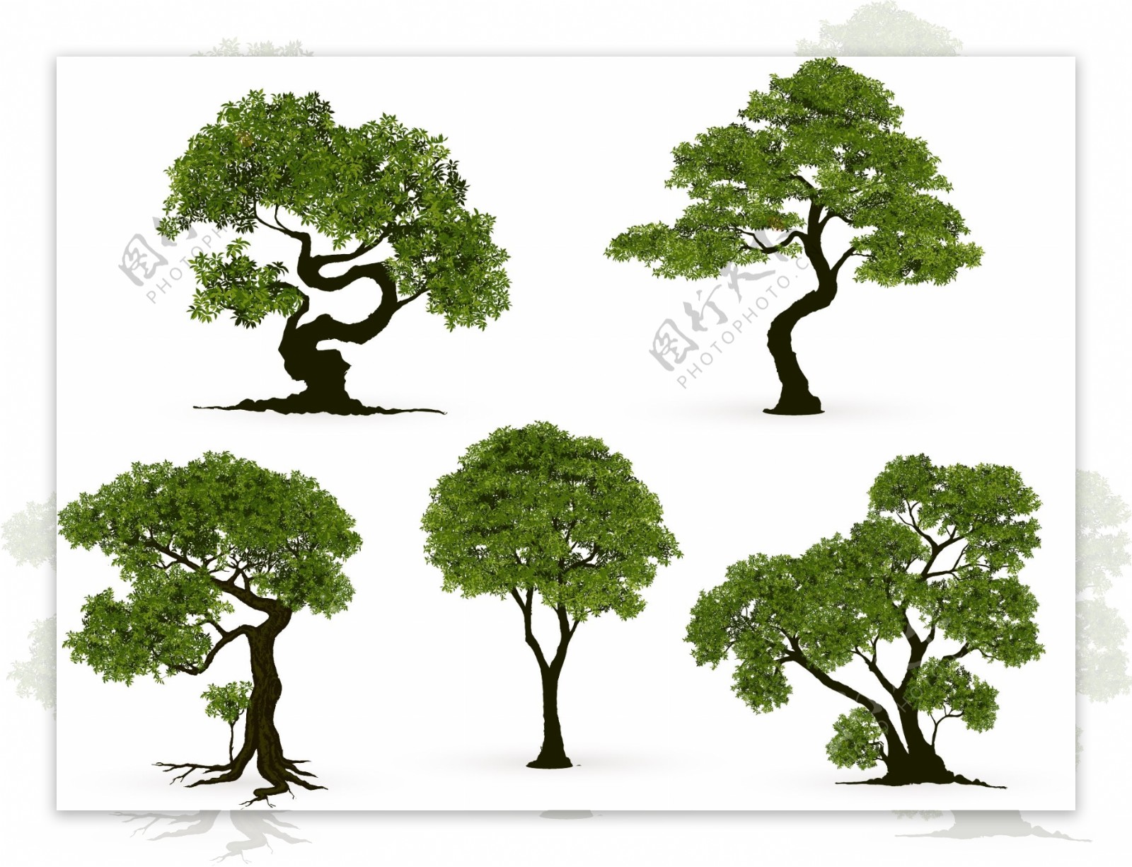 树矢量素材图片