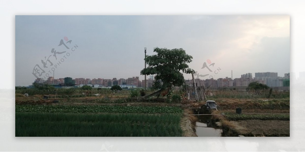 田园风景图片