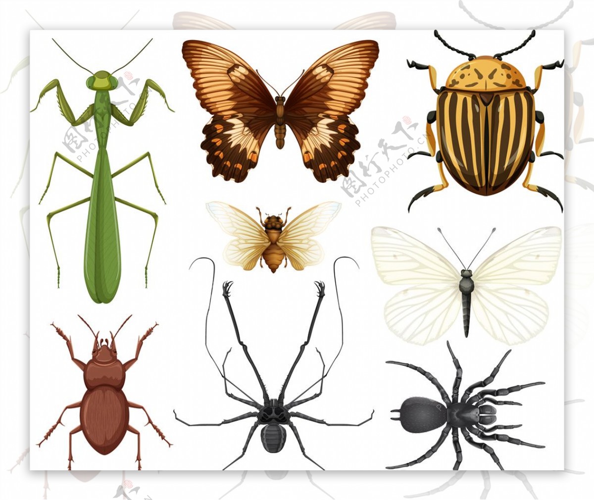 昆虫集合图片