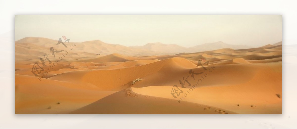 非洲撒哈拉沙漠图片