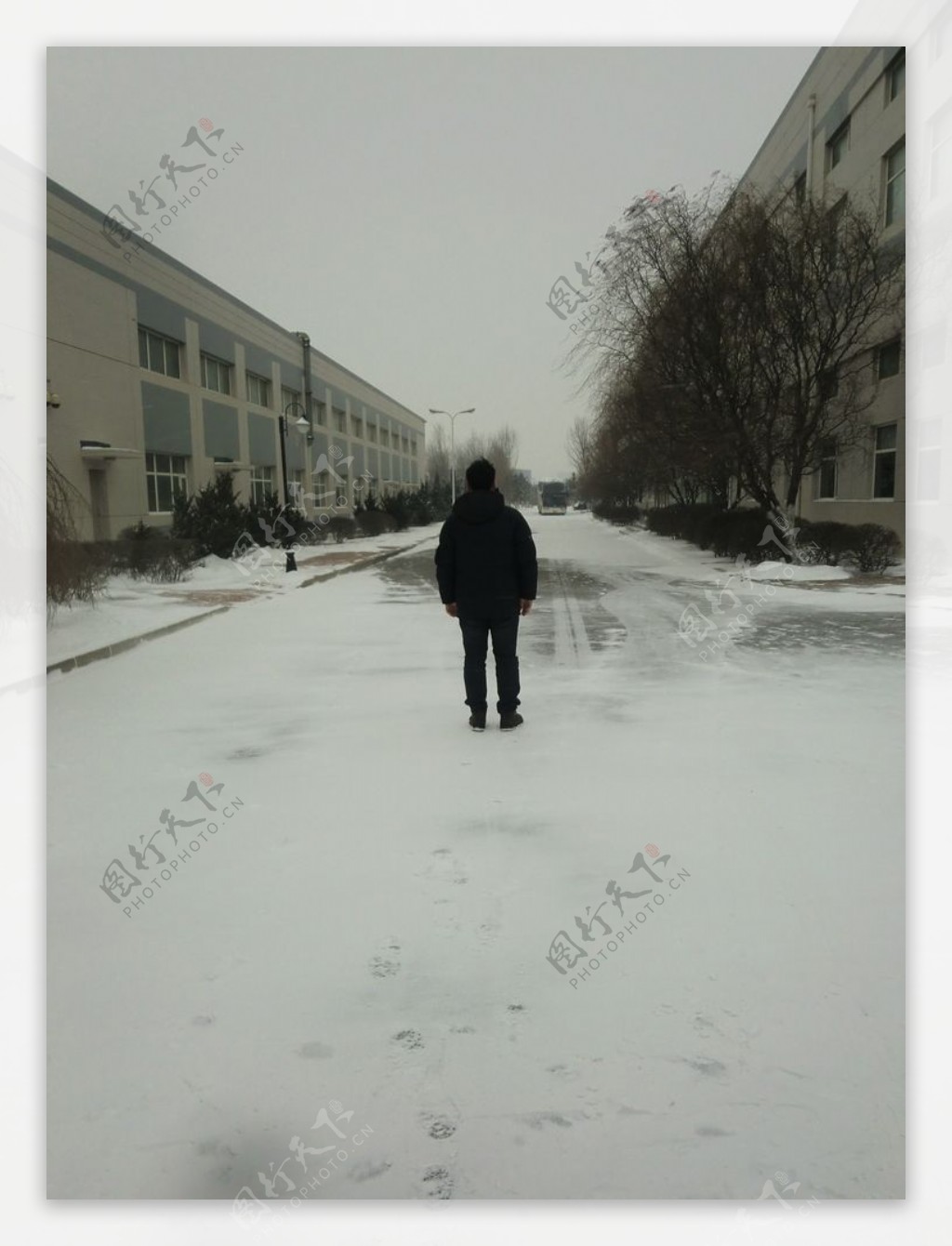 雪中孤独的背影图片