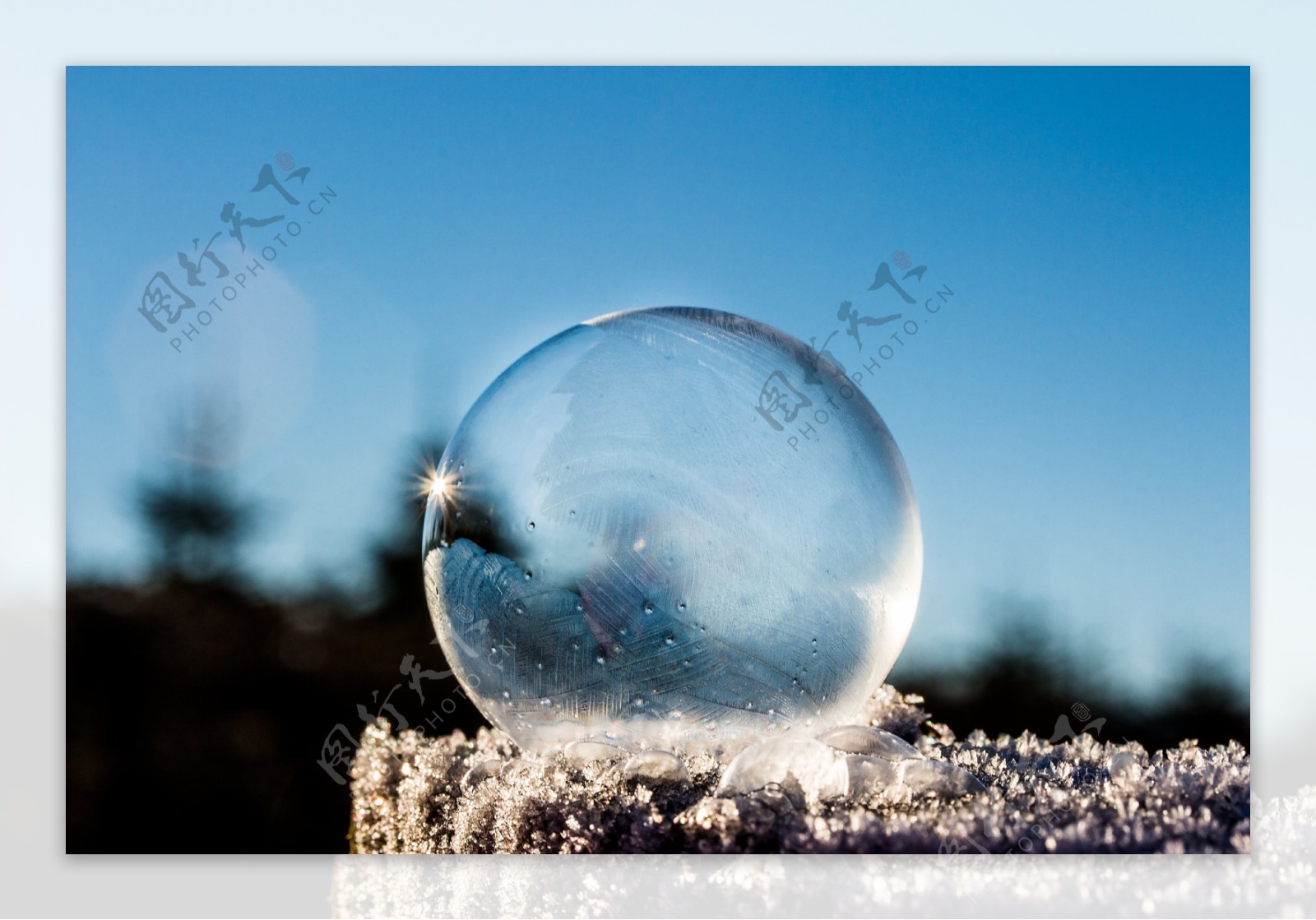 冰冻的泡沫肥皂泡冻结的图片
