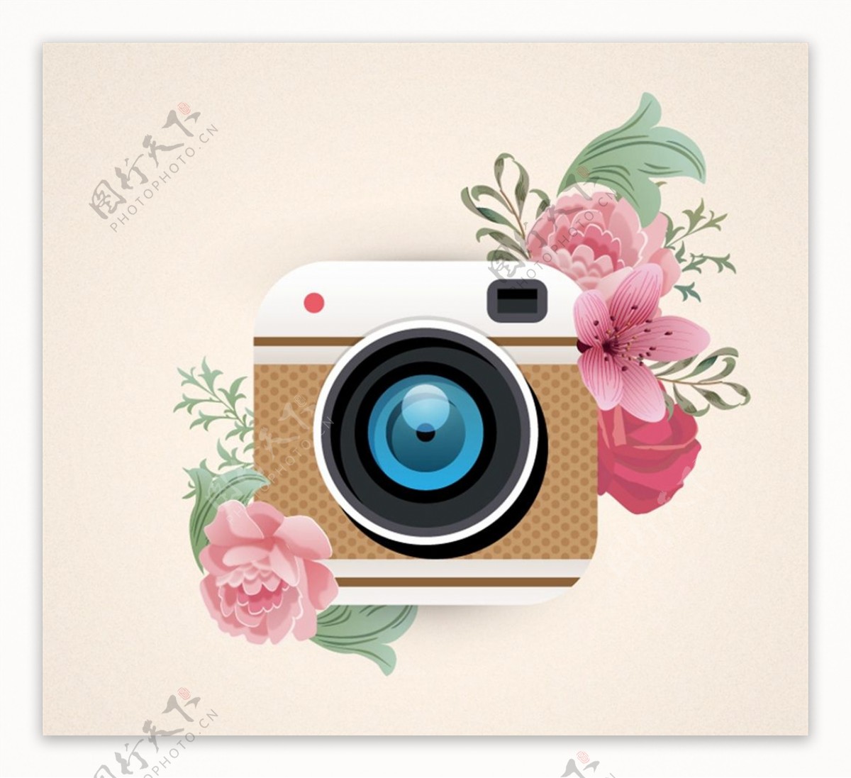 照相机和花卉图片
