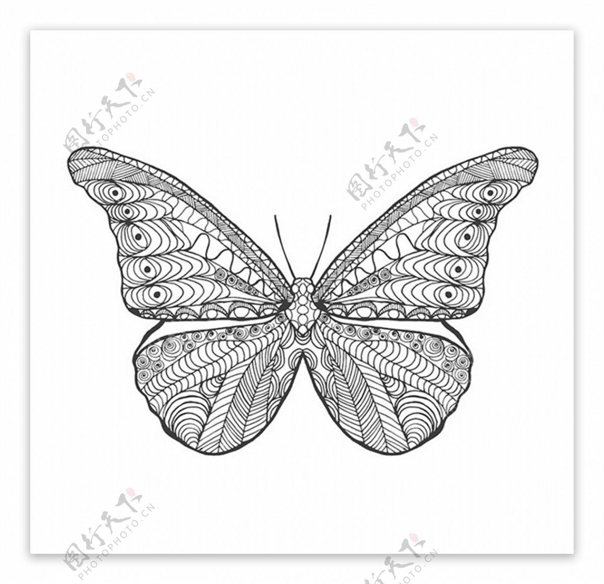 蝴蝶纹身图案图片