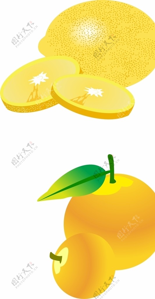 柠檬矢量图片