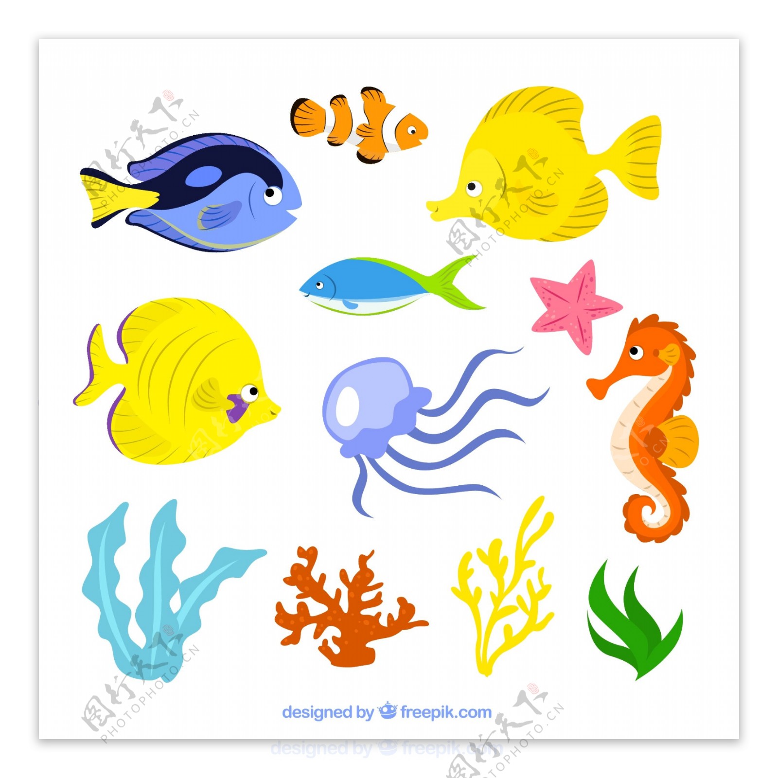 卡通海洋生物矢量图片