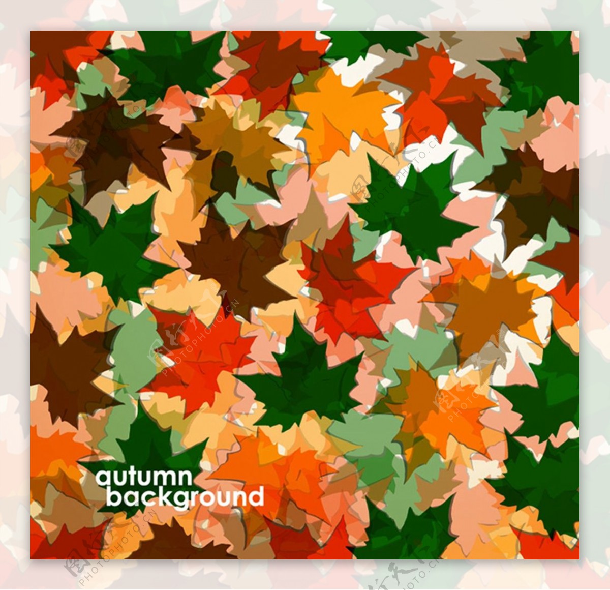 彩色秋叶背景图片