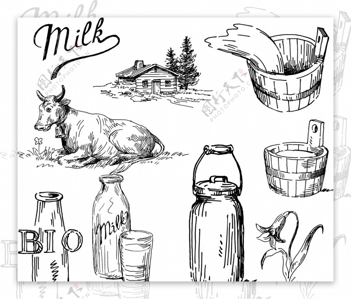 牛奶线条图图片