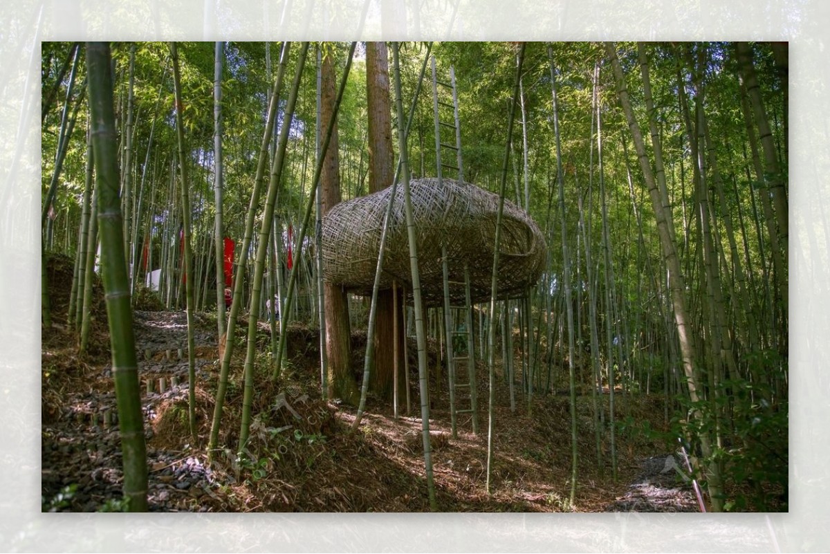 竹林树屋图片
