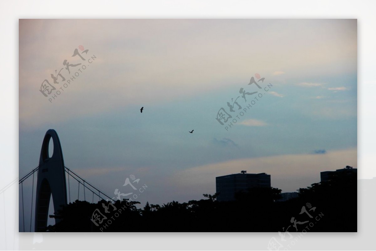 蓝天大桥飞鸟图片