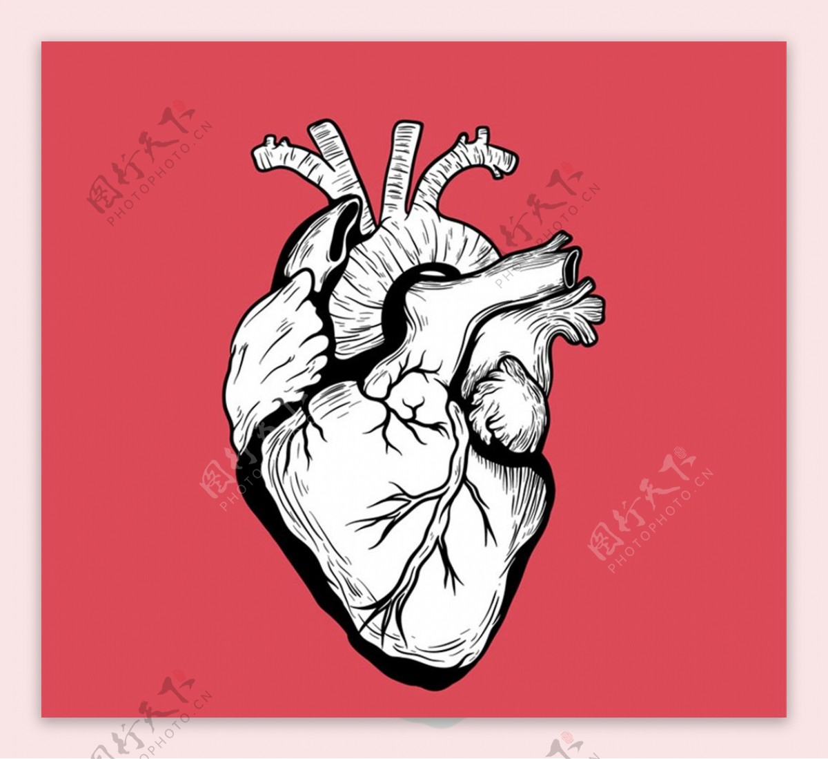 手绘心脏设计图片